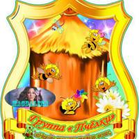 Группа подготовительного  возраста " Пчелки"